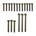 Polaris Patriot Cylinder & Bolt Kit