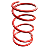 Secondary Clutch Springs