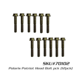 Polaris Patriot Cylinder & Bolt Kit