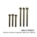 Polaris Patriot Cylinder & Bolt Kit