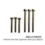 Polaris Patriot Cylinder & Bolt Kit